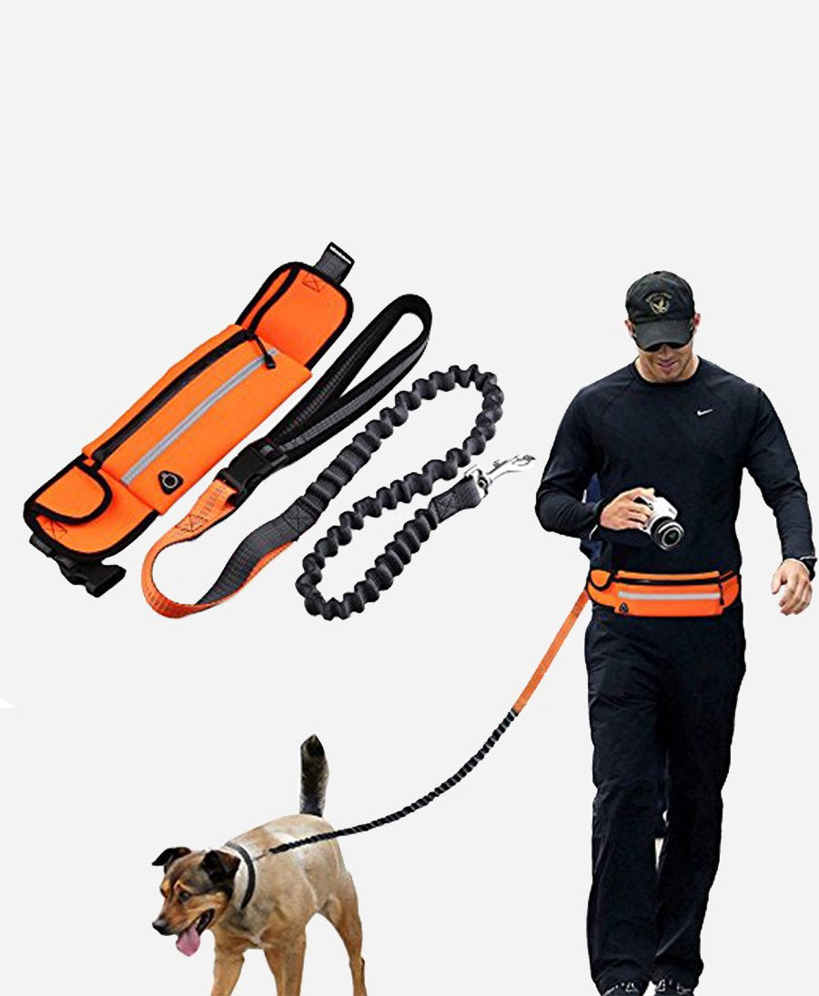 Hands-free Dog Leash + Pouch