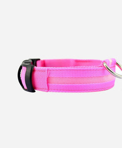 Glowing LED Pet Collar
