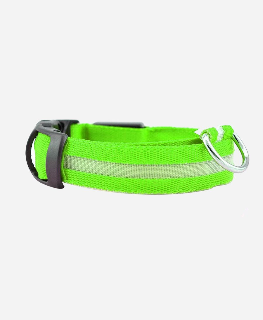 Glowing LED Pet Collar