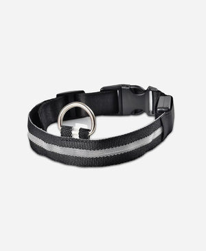Glowing LED Pet Collar