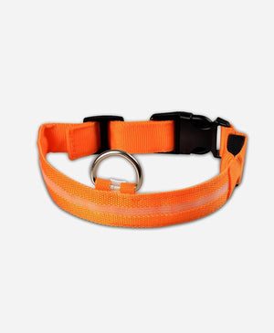 Glowing LED Pet Collar