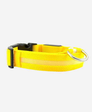 Glowing LED Pet Collar
