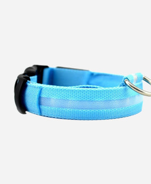 Glowing LED Pet Collar
