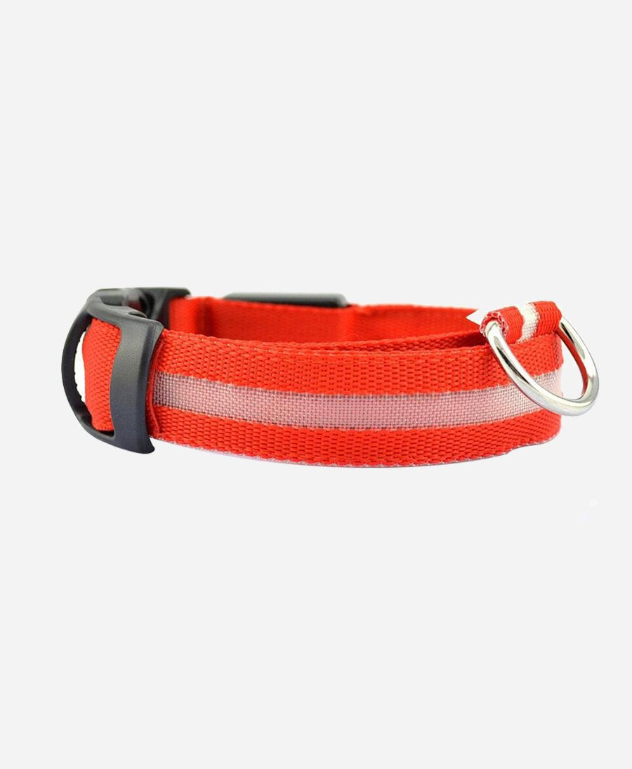 Glowing LED Pet Collar
