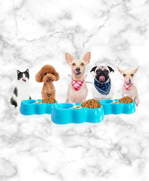 Dual Port Pet Bowl