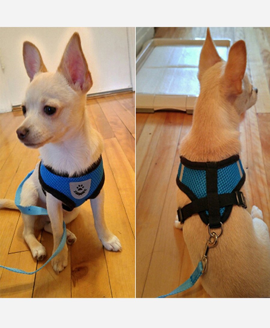 Comfy Mesh Pet Harness
