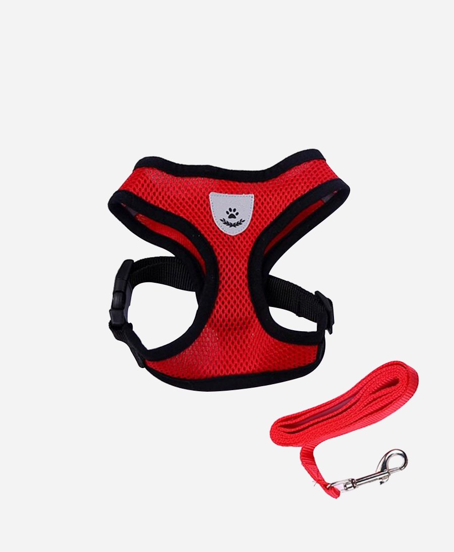 Comfy Mesh Pet Harness
