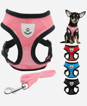 Comfy Mesh Pet Harness