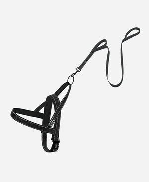 No-Pull Training Dog Harness