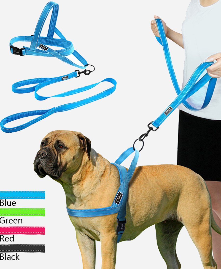 No-Pull Training Dog Harness