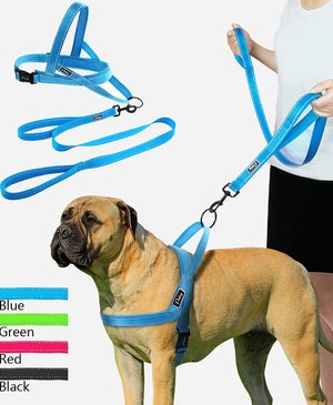 No-Pull Training Dog Harness