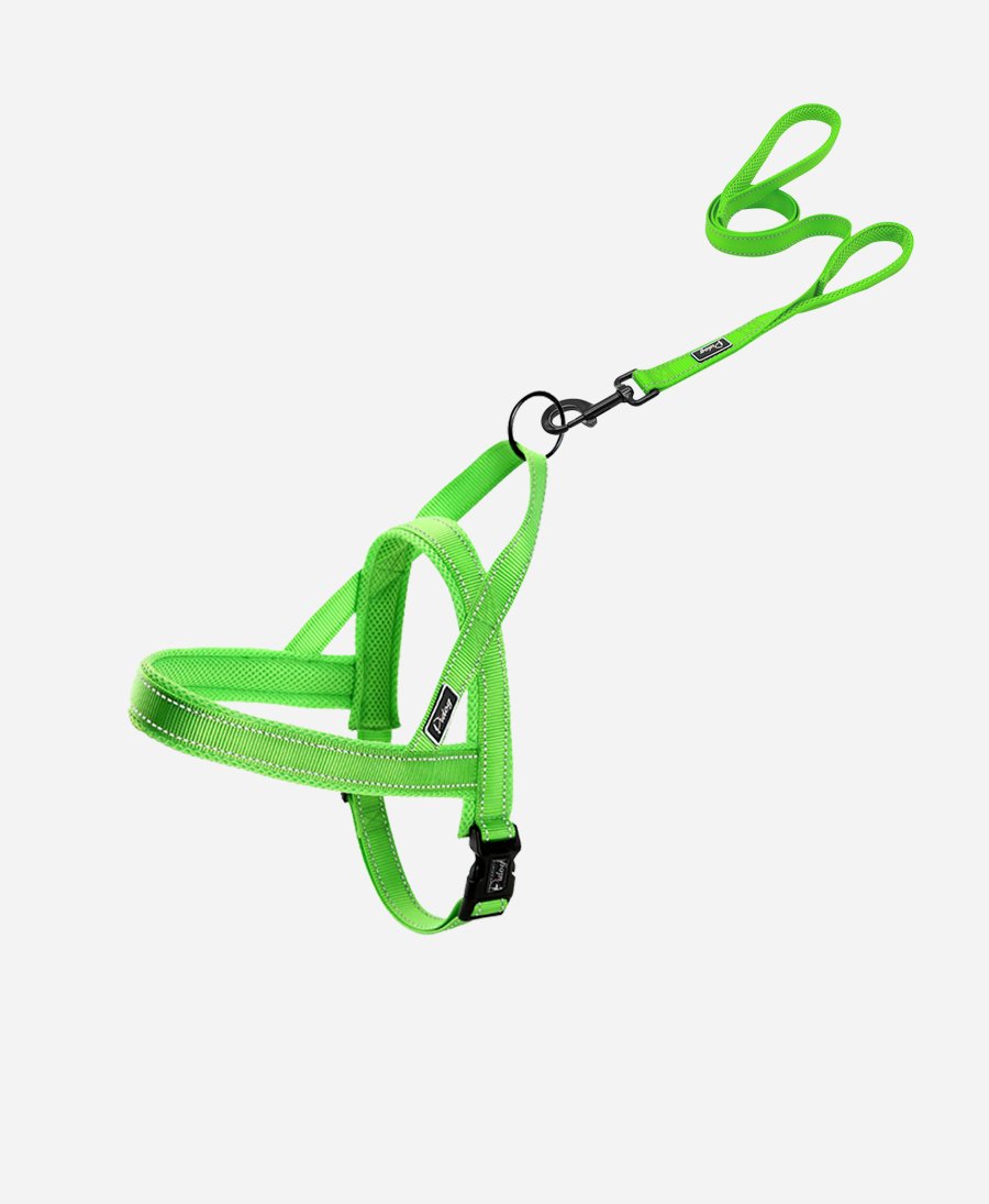 No-Pull Training Dog Harness