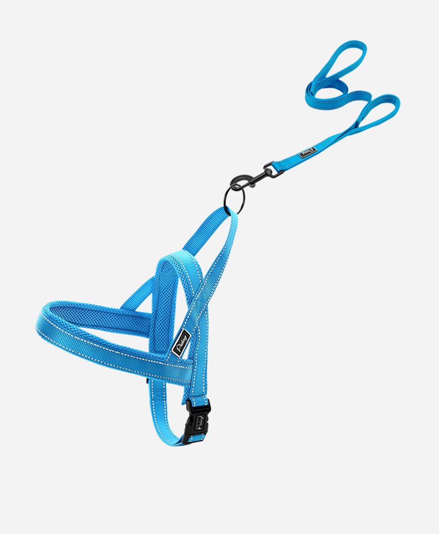 No-Pull Training Dog Harness