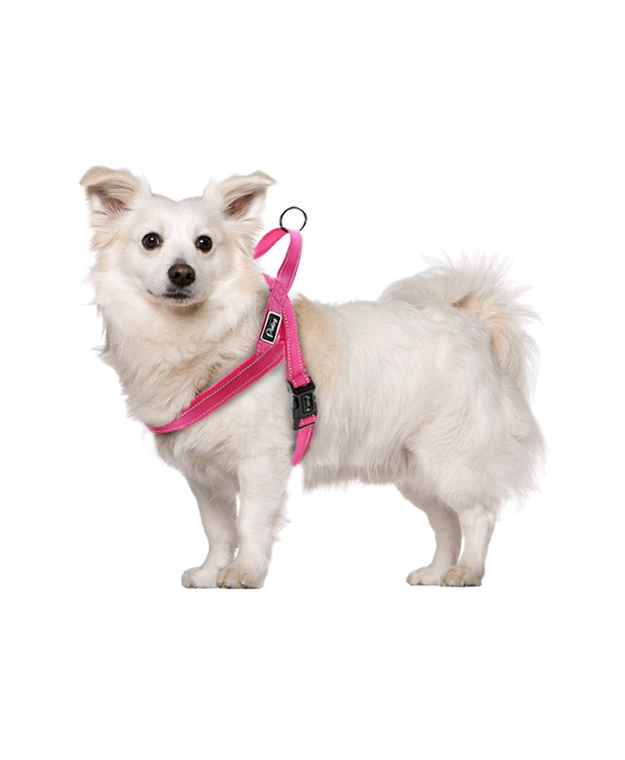 No-Pull Training Dog Harness