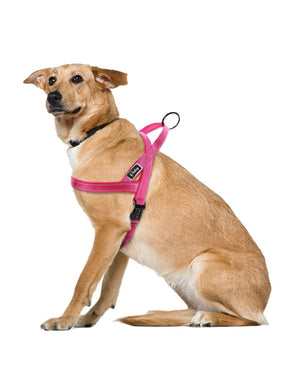 No-Pull Training Dog Harness