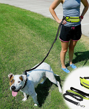 Hands-free Dog Leash + Pouch