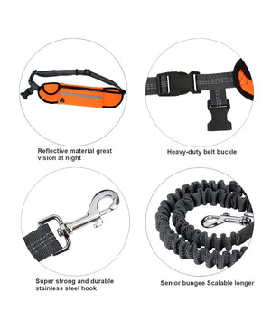 Hands-free Dog Leash + Pouch