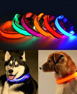 Glowing LED Pet Collar