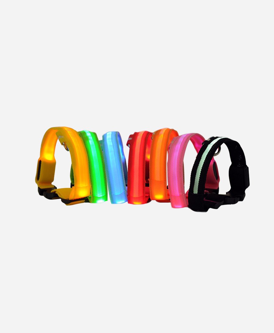 Glowing LED Pet Collar